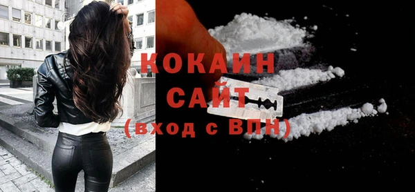 стаф Богданович
