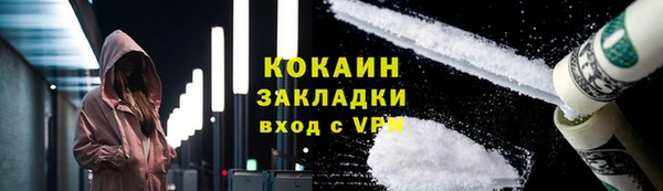 стаф Богданович