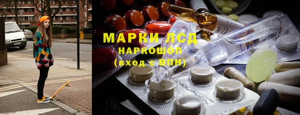 стаф Богданович