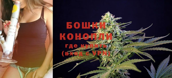 стаф Богданович