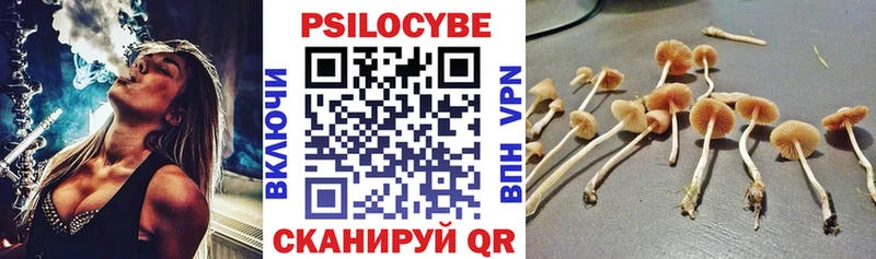Галлюциногенные грибы Magic Shrooms  Няндома 